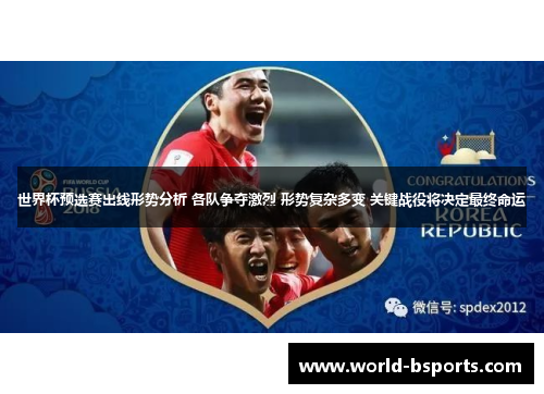 世界杯预选赛出线形势分析 各队争夺激烈 形势复杂多变 关键战役将决定最终命运