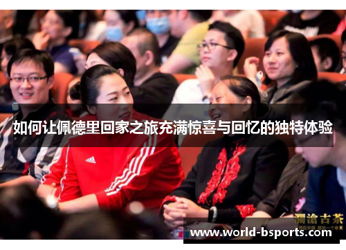 如何让佩德里回家之旅充满惊喜与回忆的独特体验