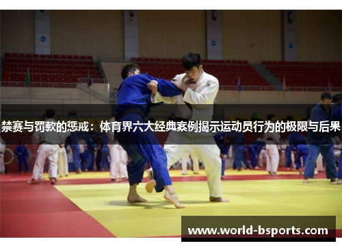 禁赛与罚款的惩戒：体育界六大经典案例揭示运动员行为的极限与后果
