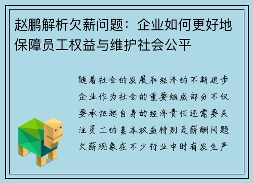 赵鹏解析欠薪问题：企业如何更好地保障员工权益与维护社会公平